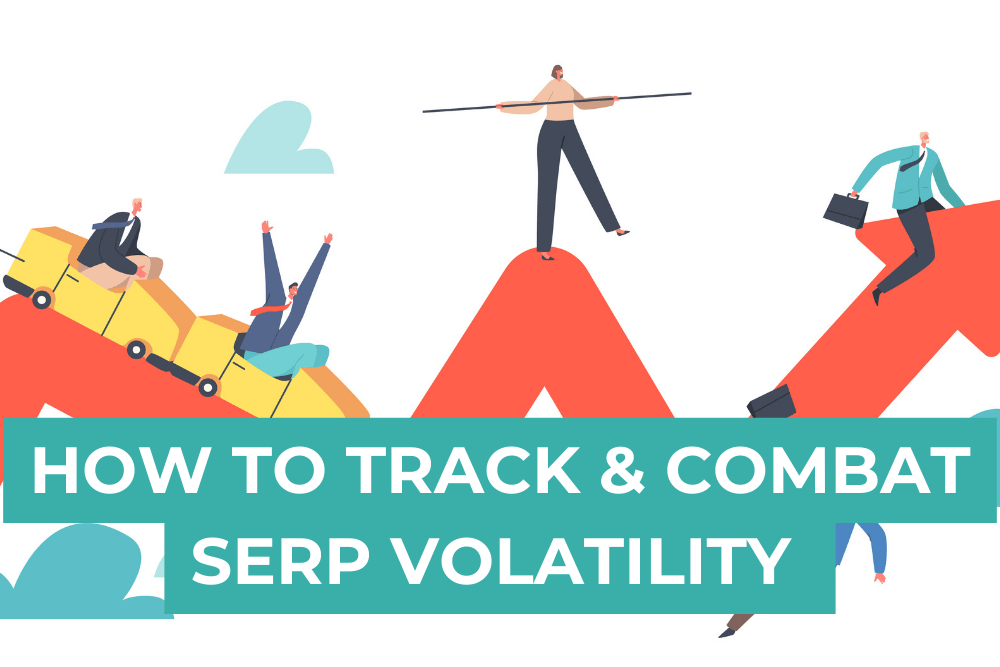 SERP Volatility Rollercoaster