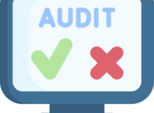 website auditor