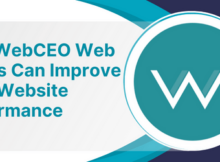 How WebCEO Web Audits Can Improve Your Website Performance